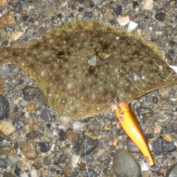 浮気‼南大阪へ‼スレてます‼